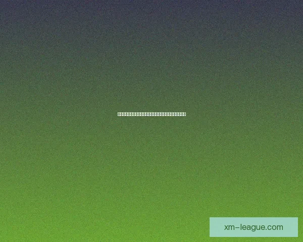 熊猫体育全新体验打造专业赛事互动与精彩直播平台